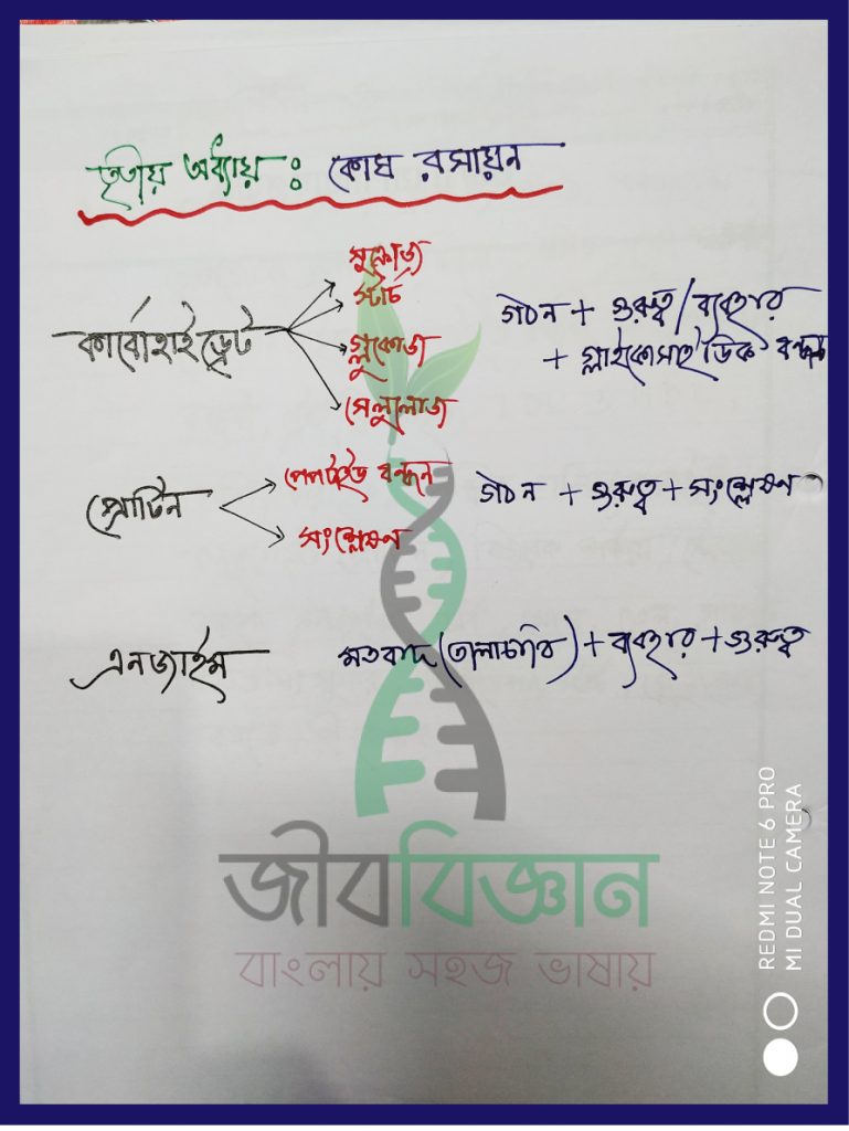 HSC Biology Suggestion ।। প্রশ্ন-উত্তর আলোচনা-২-৩ 16