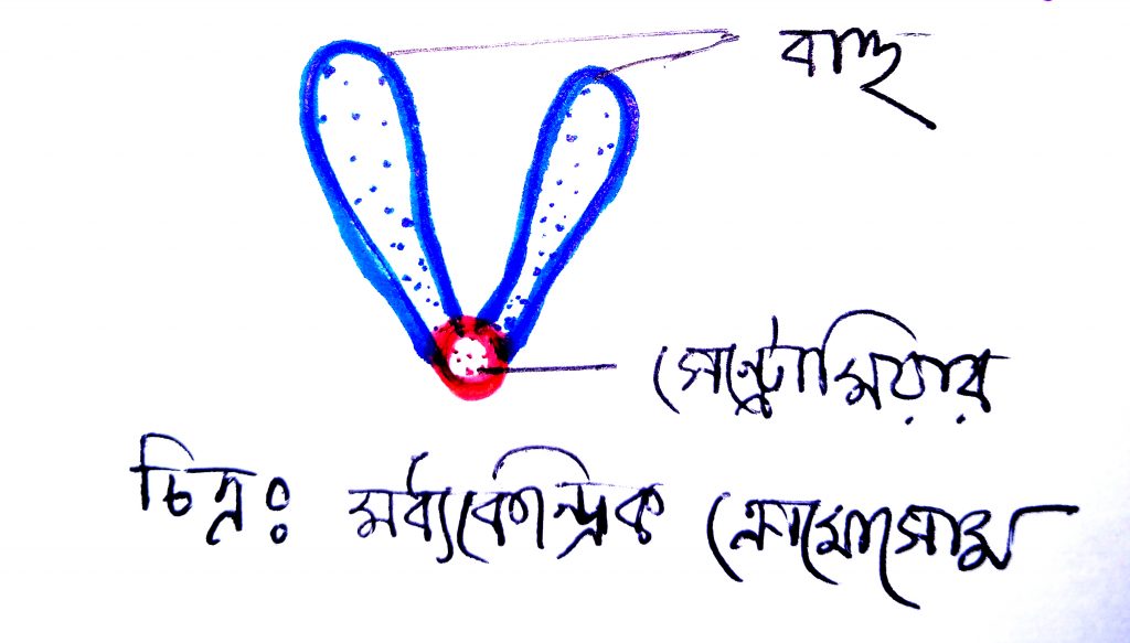 মেটাসেন্ট্রিক