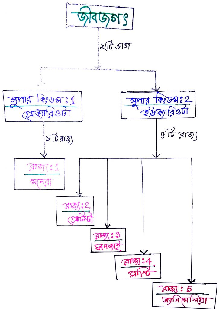 জীবের শ্রেনীবিন্যাস