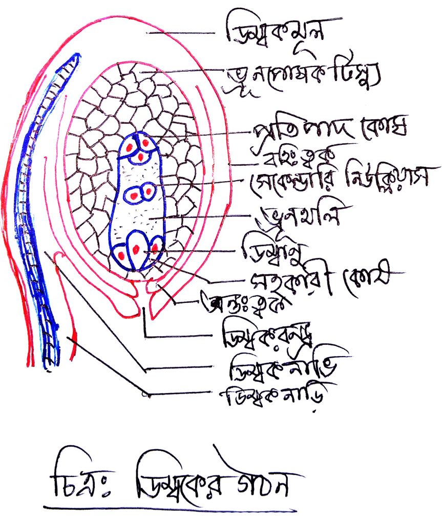নিষেক প্রক্রিয়া 1