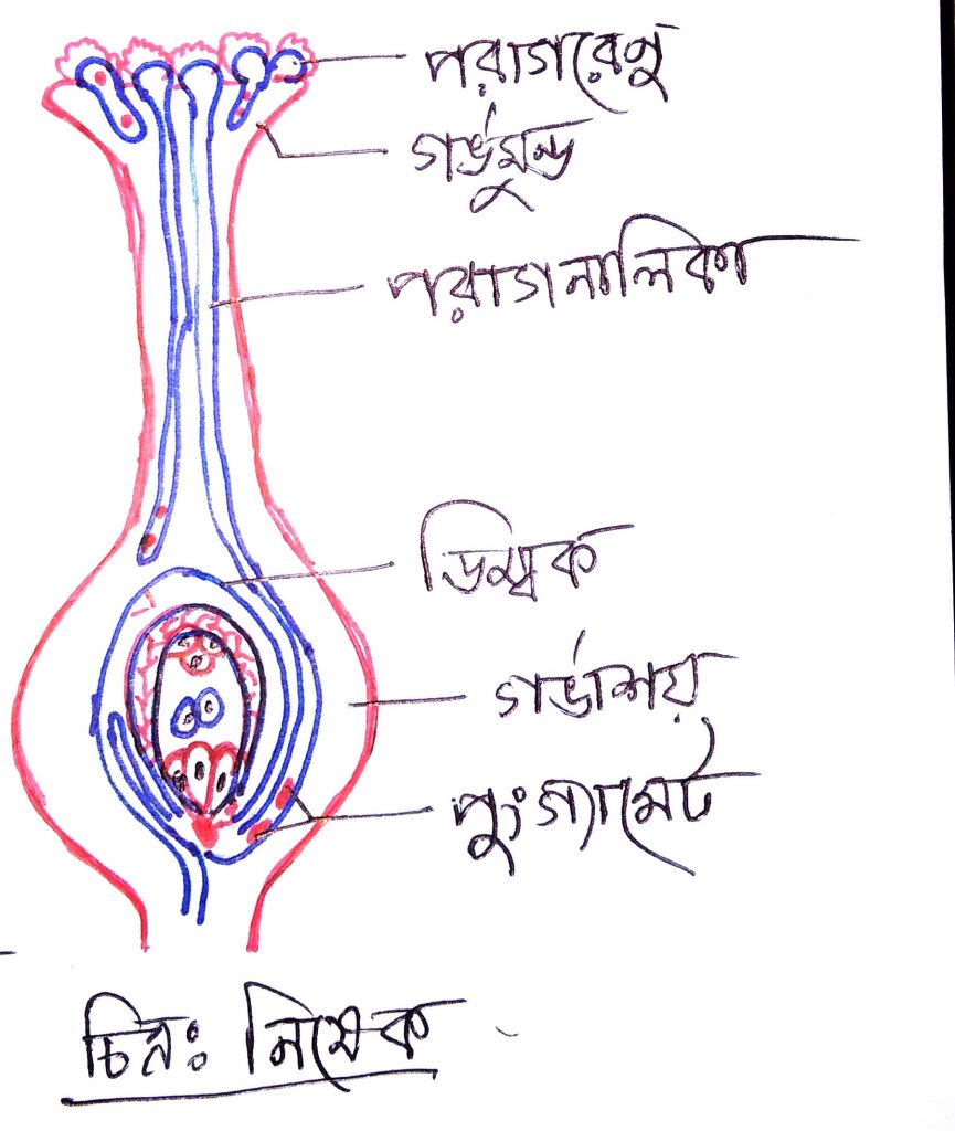 নিষেক