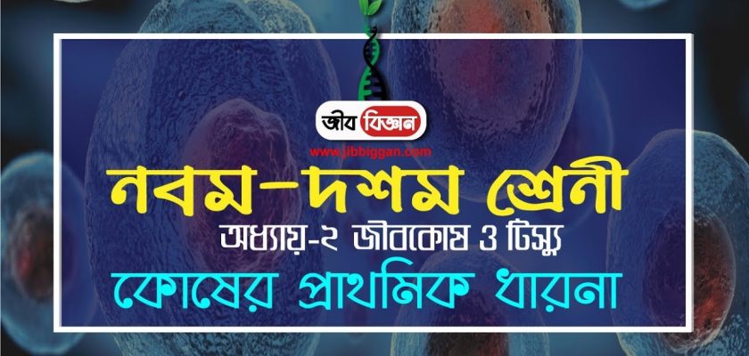 কোষের প্রাথমিক ধারনা