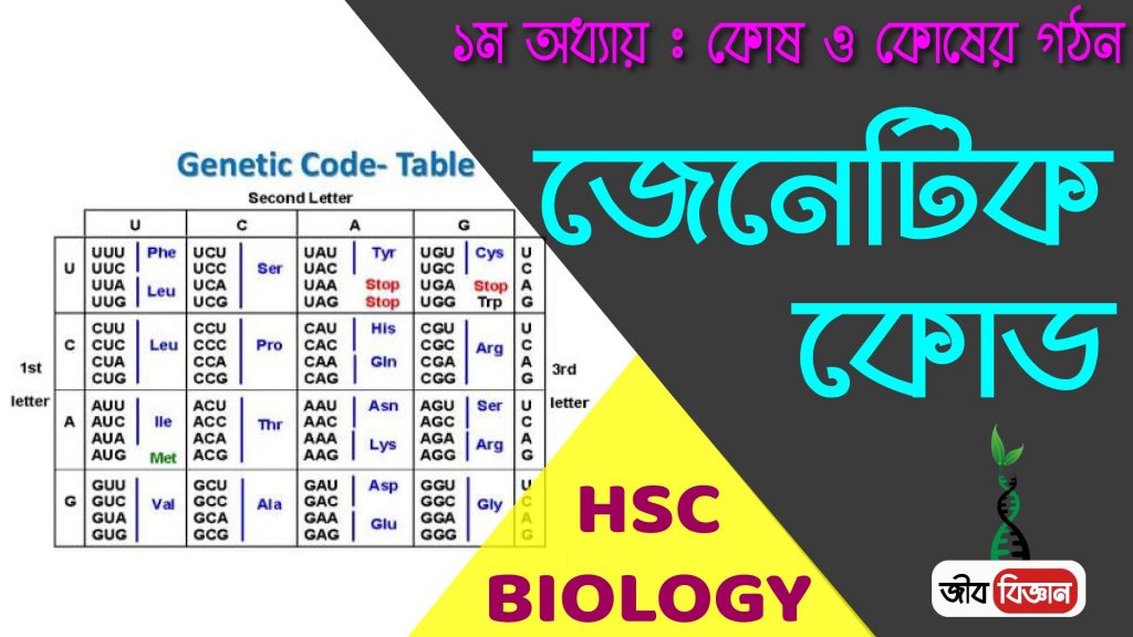 জেনেটিক কোড 2 জেনেটিক-কোড