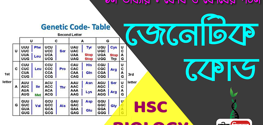 জেনেটিক-কোড