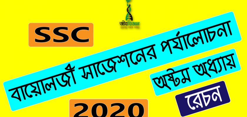 অষ্টম-অধ্যায়-রেচন