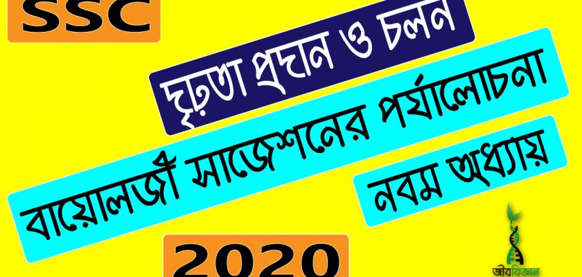 নবম-অধ্যায়-দৃঢ়তা-প্রদান-ও-চলন