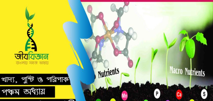 উদ্ভিদের-পুষ্টিতে-বিভিন্ন-খনিজ-উপাদানের-ভূমিকা