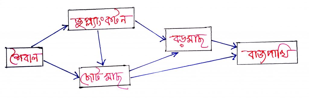 খাদ্য শিকল বা খাদ্য শৃংখল ও খাদ্যজাল 3 খাদ্যজাল