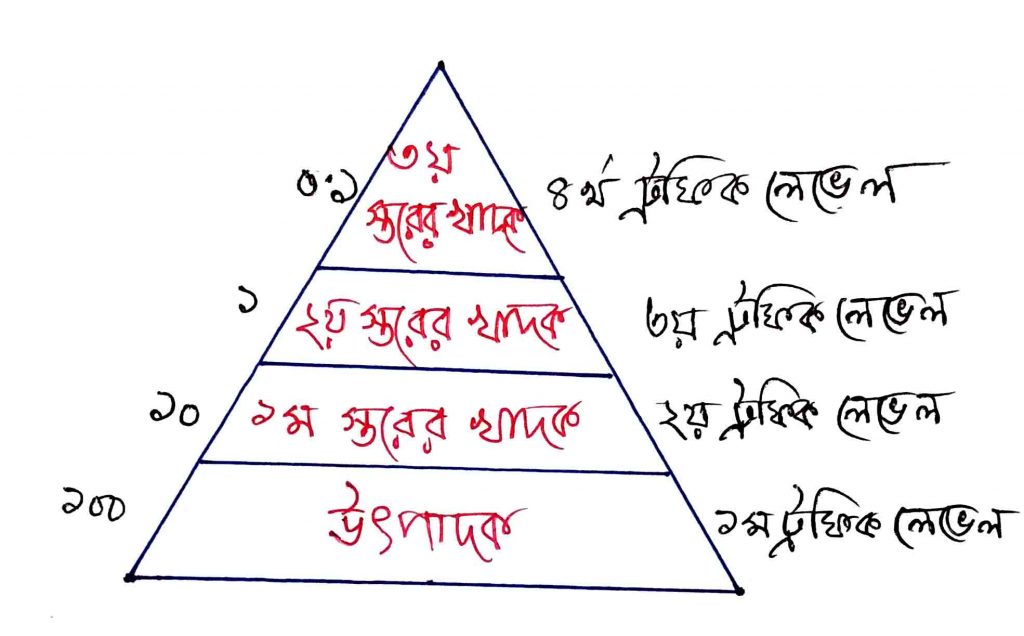 শক্তির পিরামিড 2 শক্তির পিরামিড