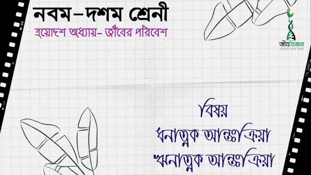 ধনাত্নক-ও-ঋনাত্নক-আন্তক্রিয়া