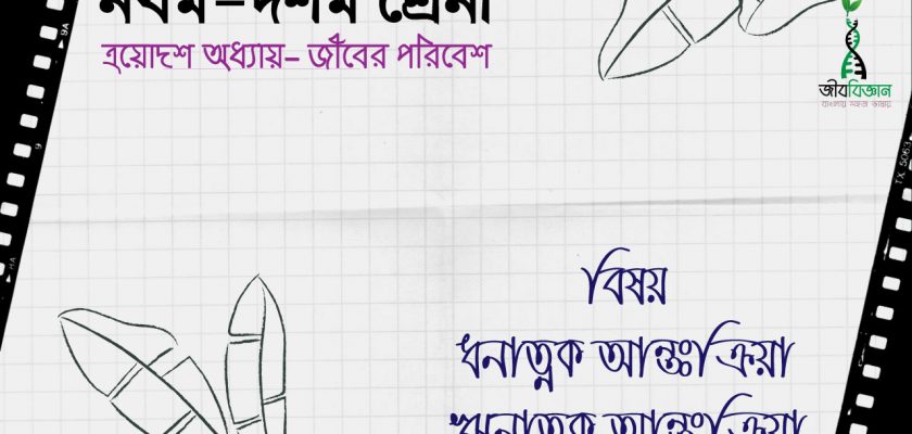 ধনাত্নক-ও-ঋনাত্নক-আন্তক্রিয়া