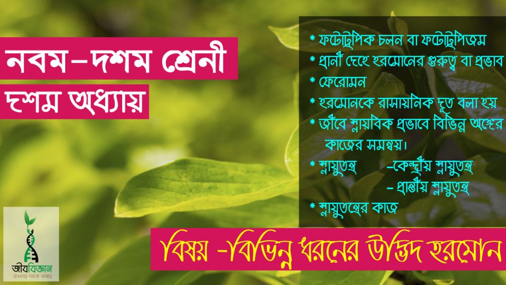 বিভিন্ন ধরনের উদ্ভিদ হরমোন ফটোট্রপিক চলন, ফেরোমেন