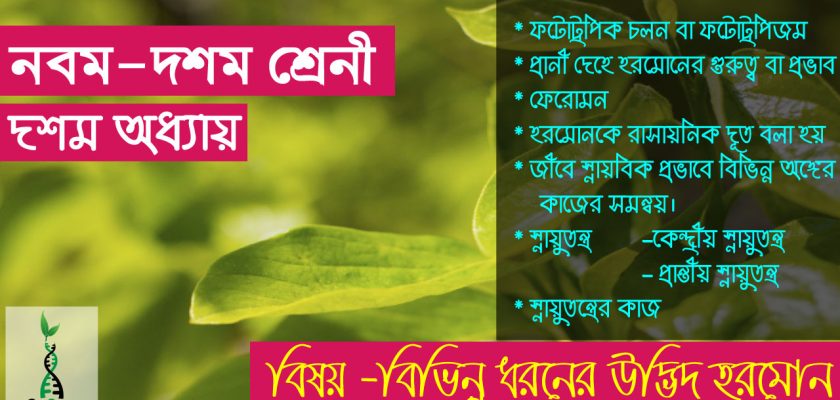 বিভিন্ন-ধরনের-উদ্ভিদ-হরমোন-ফটোট্রপিক-চলন-ফেরোমন-স্নায়ুতন্ত্র