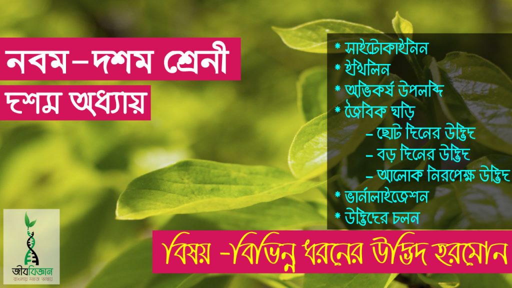 বিভিন্ন ধরনের উদ্ভিদ হরমোন- সাইটোকাইনিন, ইথিলিন 1