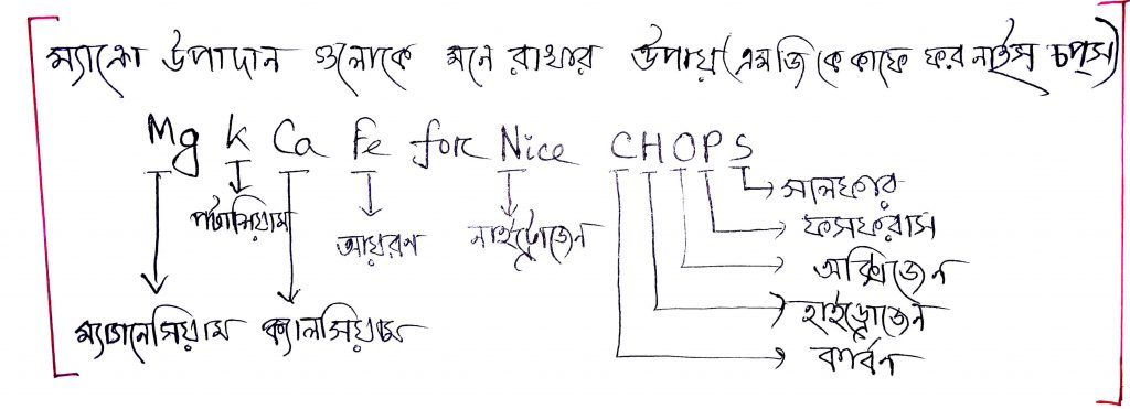ম্যাক্রো উপাদানসমূহ