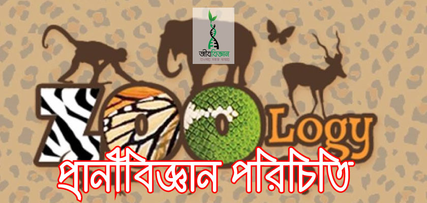 Jibbiggan জ বব জ ঞ ন