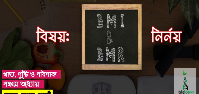 BMR-ও-BMI-নির্নয়