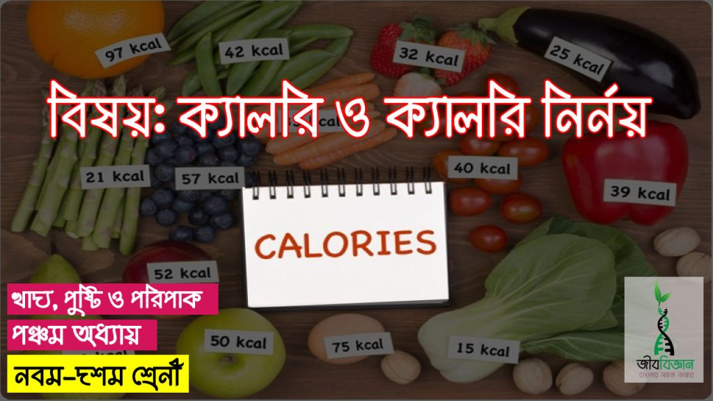 ক্যালরি-ও-ক্যালরি-নির্নয়