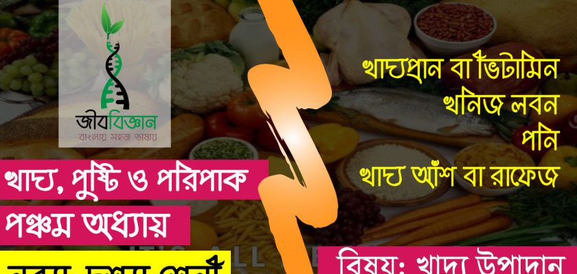 খাদ্য-উপাদান-