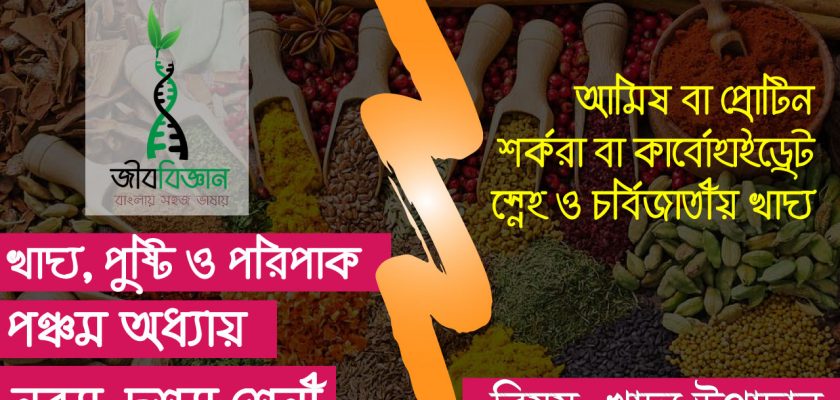 খাদ্য-উপাদান