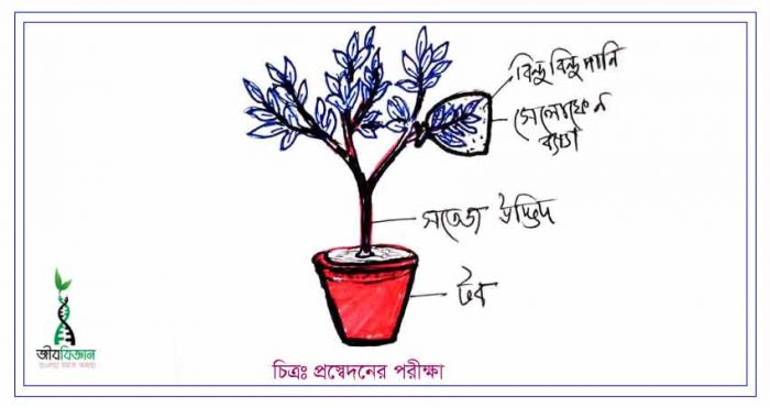 প্রস্বেদনের-পরীক্ষা