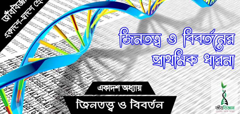 জিনতত্ত্ব-ও-বিবর্তনের-প্রাথমিক-ধারন