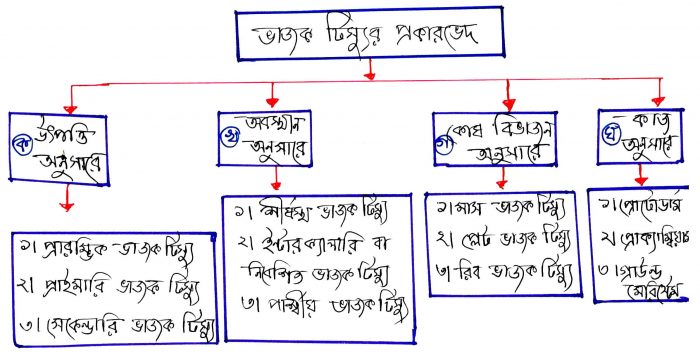 ভাজক টিস্যুর প্রকারভেদ
