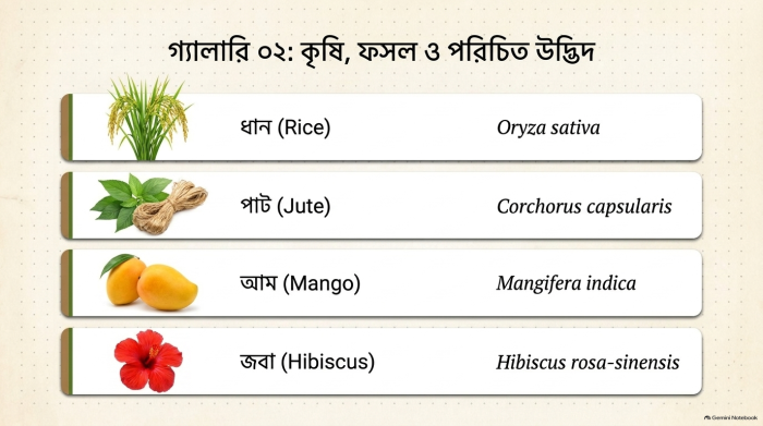 জীবন পাঠ স্লাইড 10 – শ্রেণীবিন্যাস ও দ্বিপদ নামকরণ (জীববিজ্ঞান প্রথম অধ্যায়)