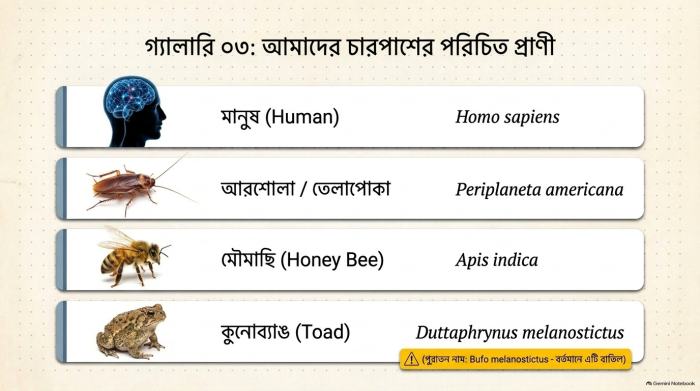 জীবন পাঠ স্লাইড 11 – শ্রেণীবিন্যাস ও দ্বিপদ নামকরণ (জীববিজ্ঞান প্রথম অধ্যায়)